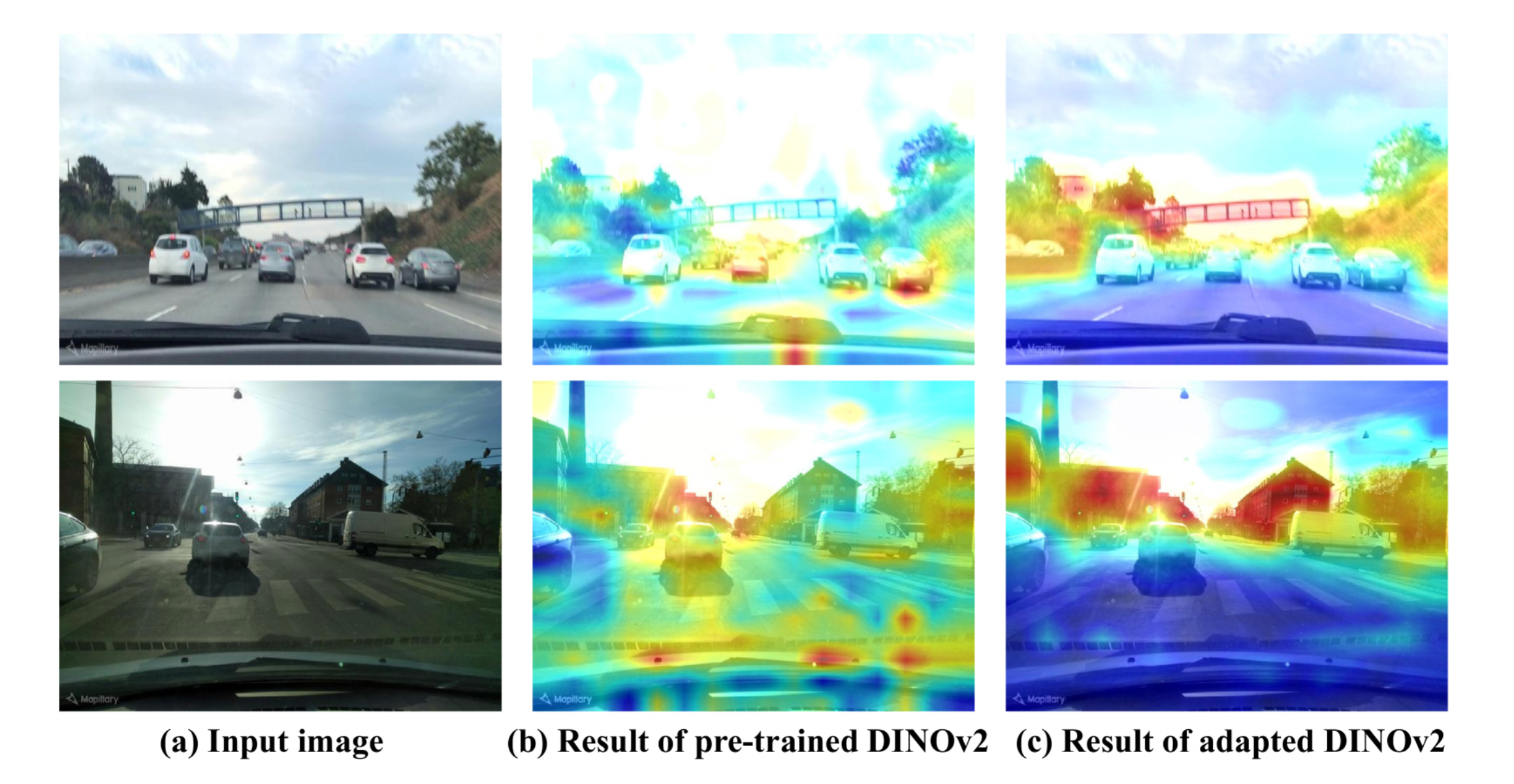 预训练的 DINOv2 和微调 DINov2 的输出特征图注意力可视化**